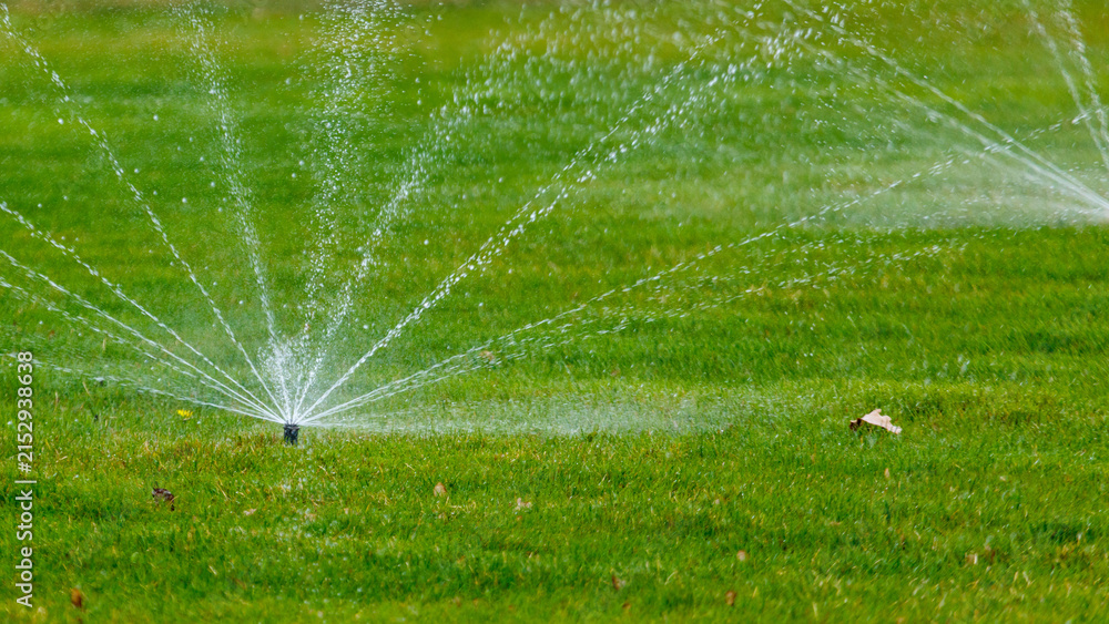 Fototapeta premium Lawn sprinkler system waters large green grass area