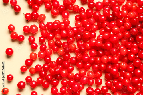 Fresh viburnum berries on b...