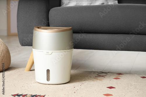Air humidifier on carpet ne...
