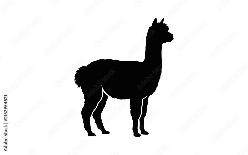 Naklejka premium Llama silhouette against a white background a simple animal representation