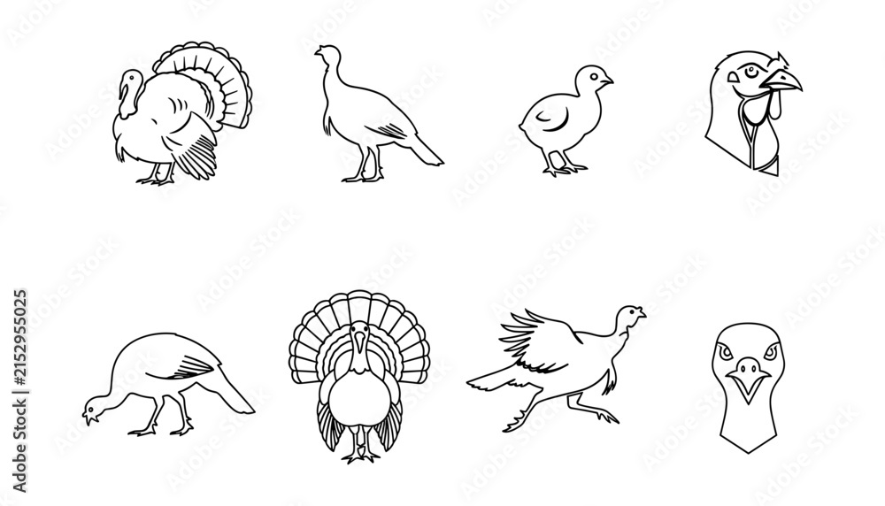 Obraz premium Turkey and Game Bird Outline Set with Pheasant, Quail, Rooster, Flying Birds, Poultry Profiles and Decorative Wildlife Illustrations