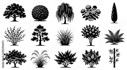 Nature Landscape  Garden Plants Vector Silhouettes Collection: Trees, Shrubs, Bushes, Grass, Ferns, Bamboo Glyphs
