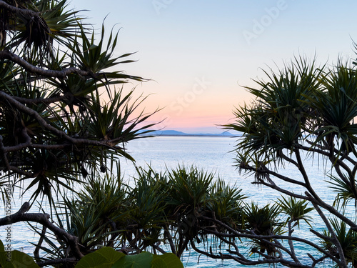 Coastal ocean view framed by pandanus trees at Noosa Headland, Queensland, Australia, during soft early morning light.