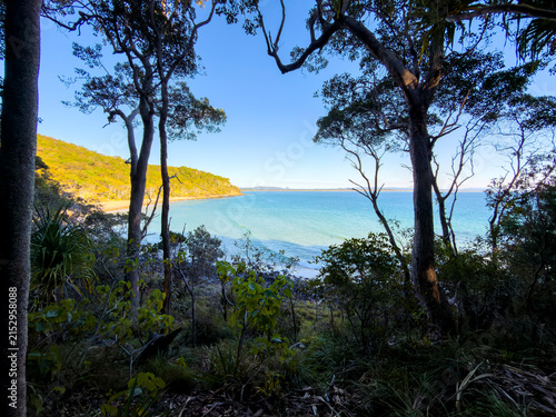 Coastal forest overlooking the ocean at Noosa Headland, Queensland, Australia, with native vegetation framing views of the coastline.
