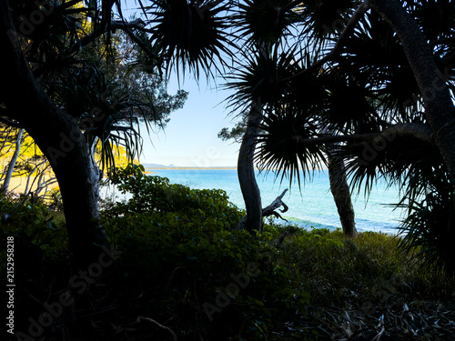 Coastal forest overlooking the ocean at Noosa Headland, Queensland, Australia, with native vegetation framing views of the coastline.