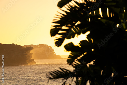 Golden sunrise light illuminates the cliffs and coastline around Bondi Beach in Sydney, Australia, framed by tropical foliage.
