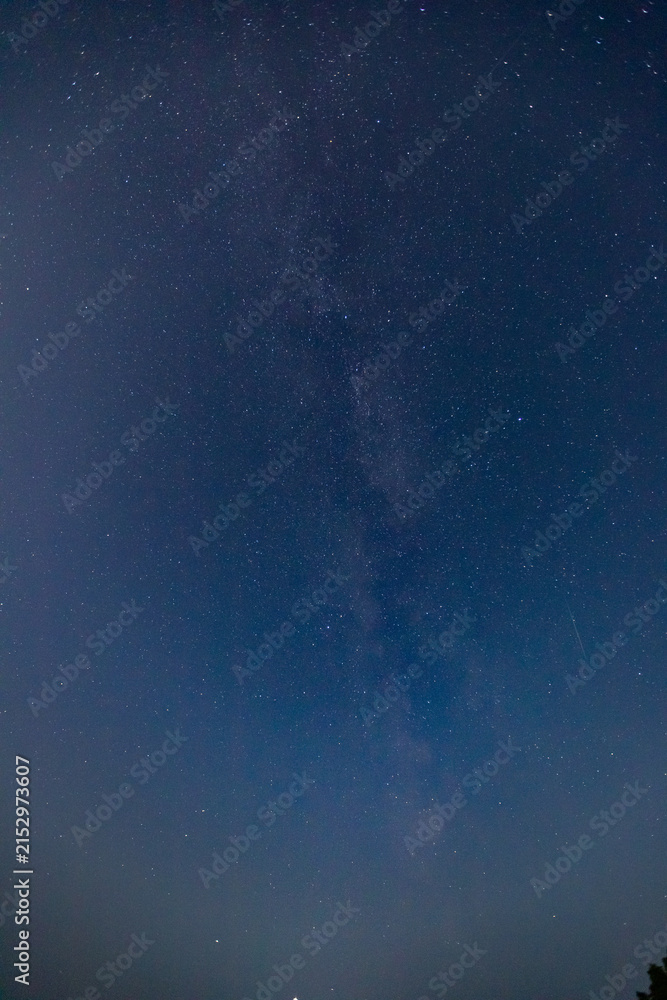 Fototapeta premium Milky way starry sky with stars over Siberia in Russia