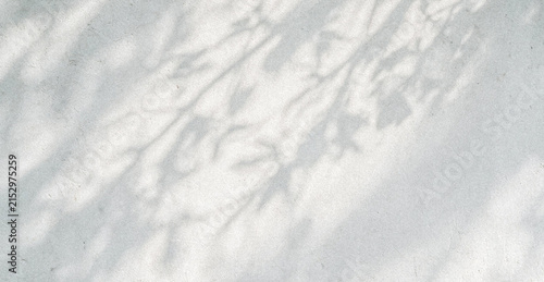 Cuadro en lienzo A soft and ethereal background showcasing delicate shadows of leaves and branches cast on a light surface, creating a serene and tranquil atmosphere