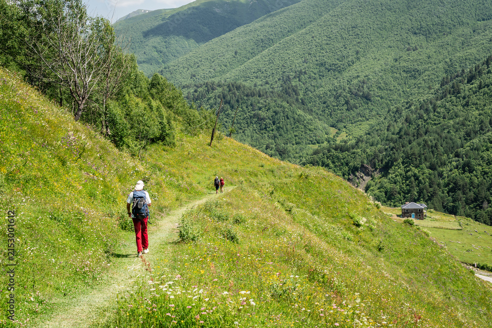 Fototapeta premium hikers descending towards Ushguli, trans-Caucasian trail, Upper Svaneti, Caucasus mountain range, Georgia