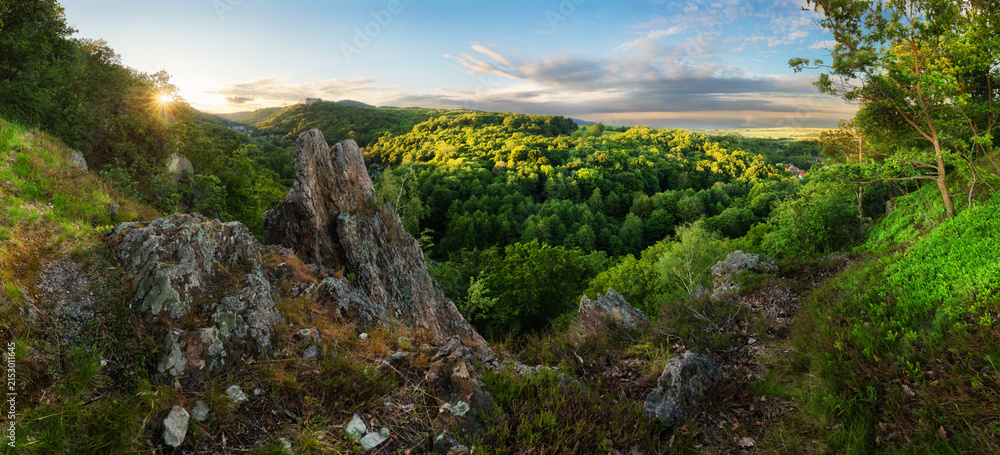 Naklejka premium Panorama landscape with spring green forest in Slovakia near castle Cerveny Kamen