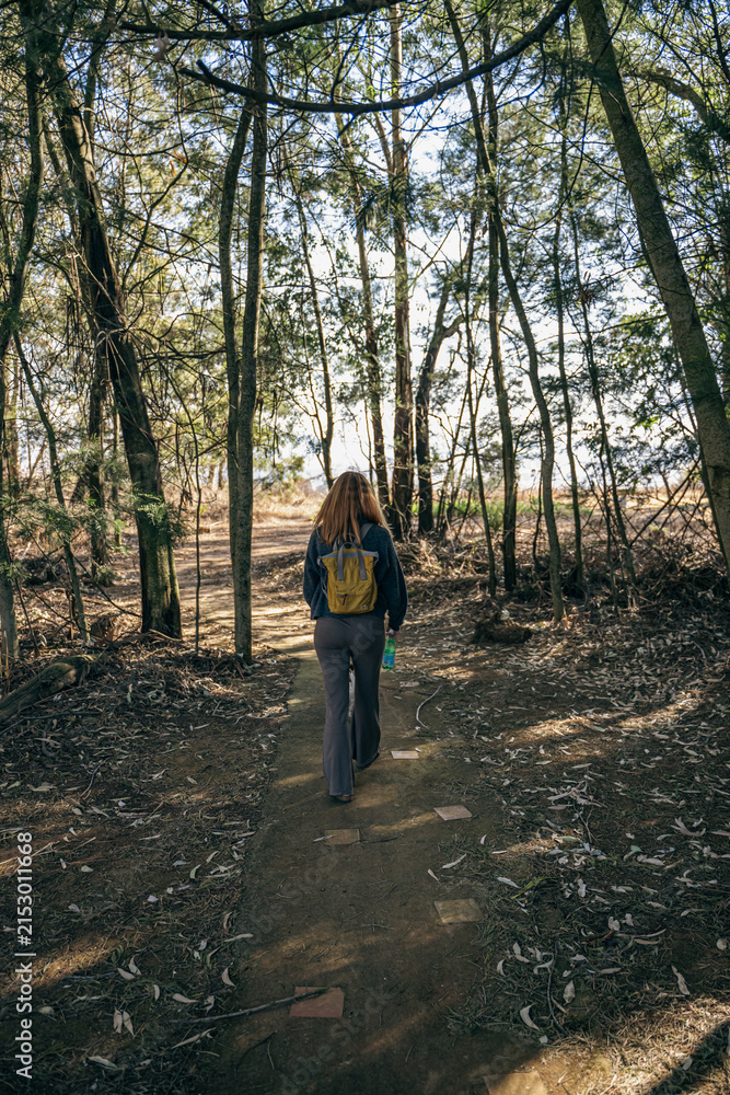 Fototapeta premium Hiker walking along a forest trail with backpack