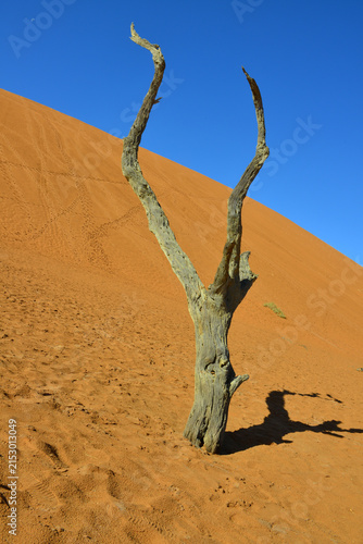 Konstfotografi Sossusvlei