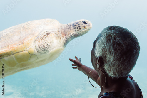 Vieille femme tendant la main vers une tortue. Touriste regardant une tortue dans un aquarium. Soigner les tortues blessées. 