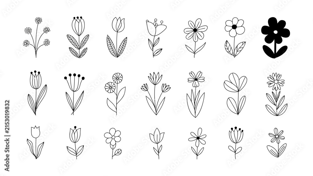 Obraz premium Set of hand drawn flowers and floral doodle elements in black ink sketch style