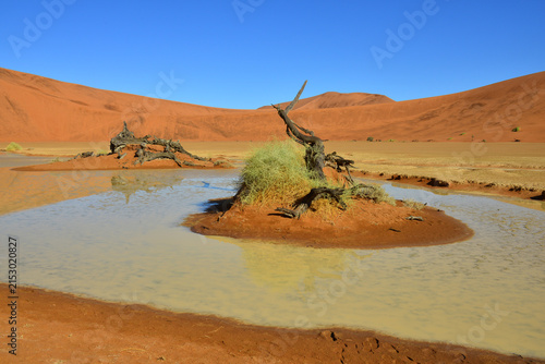 Foto Sossusvlei