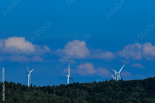 Wind turbines among the Carpathian Mountains. Ecological energy concept in Ukraine