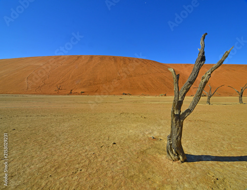 Konstfotografi Sossusvlei