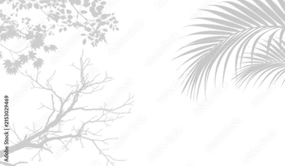 Fototapeta premium Shadow overlay of palm leaves and tree branches isolated on transparent background