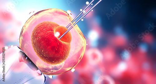Bild auf Leinwand GMO, gene editing, DNA manipulation concept