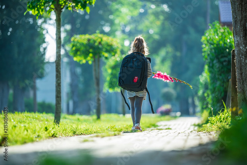 Little schoolgirl with backpack and gladiolus flower walking on street path to school on sunny first day of september back to school concept in Latvia Europe