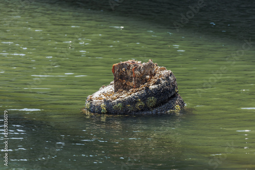 Sunlight illuminating a weathered pier remnant with a barnacle encrusted tire fender and marine debris, emerging from murky green waters.