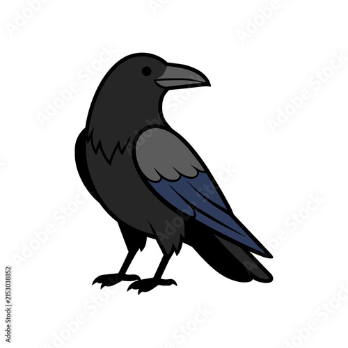 Black raven bird cartoon illustration on white background