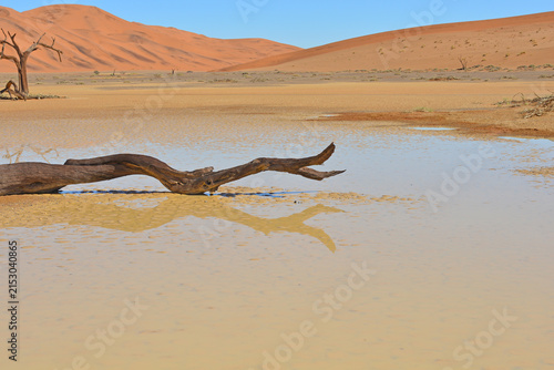 Deadvlei
