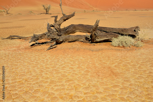 Deadvlei