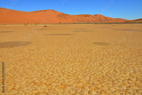 Deadvlei
