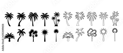 Diverse collection of palm trees in silhouette and outline styles