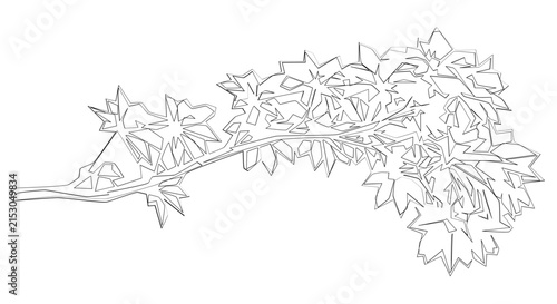 Stylized outline drawing of a branch with abstract leaves on a transparent background
