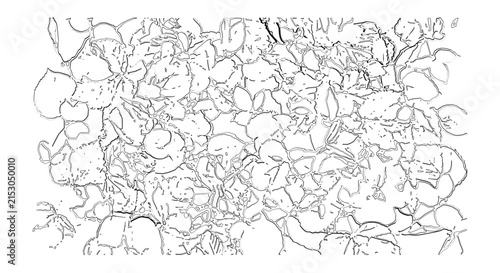 Stylized sketch of colorful berries and leaves against a transparent background