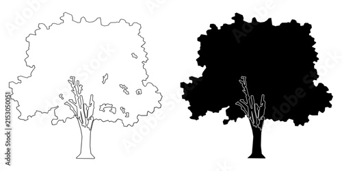 Two contrasting tree silhouettes outline and solid shapes