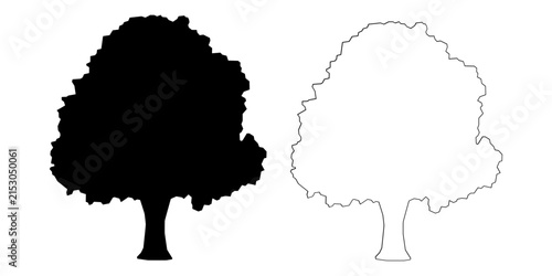 Two stylized trees one solid black silhouette and one outline
