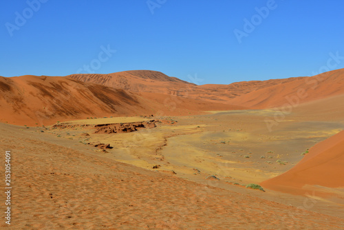 Deadvlei