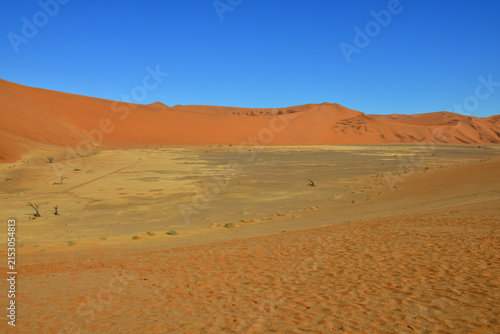 Bild auf Leinwand Deadvlei