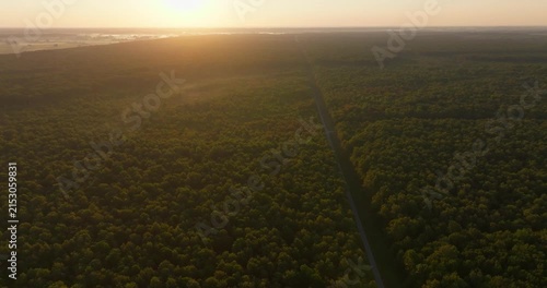 Aerial View of Pedunculate Oak Forest at Sunrise, Croatia