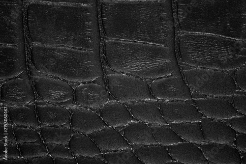 Obraz na plátně Black reptile leather surface with crocodile scale texture and natural matte fin