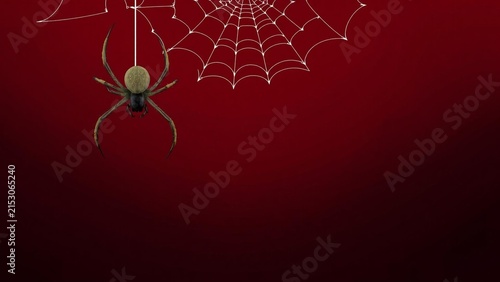 A realistic spider hanging from a spider web against a deep red background, perfect for halloween themes and spooky designs
