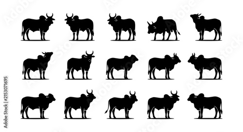 Zebu Cattle Silhouettes Collection, Indian Bull Icons, Livestock Vector Graphics, Farm Animal Set
