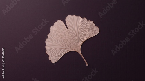 Detailed bronze ginko leaf structure on dark background