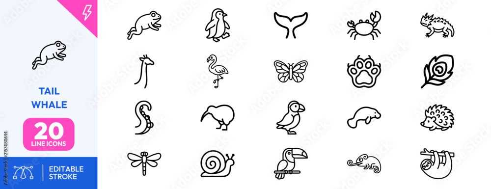 Obraz premium Wildlife set. frog, penguin, whale, crab, chameleon, butterfly, snail, kiwi, hedgehog, flamingo, toucan, tortoise. Editable stroke. Vector illustration.