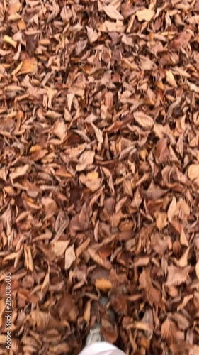 POV Walking Through Dry Autumn Leaves with Natural Crunching Sounds