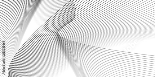 Cuadro en lienzo Elegant abstract design featuring monochrome wavy fine lines intertwined against a white background