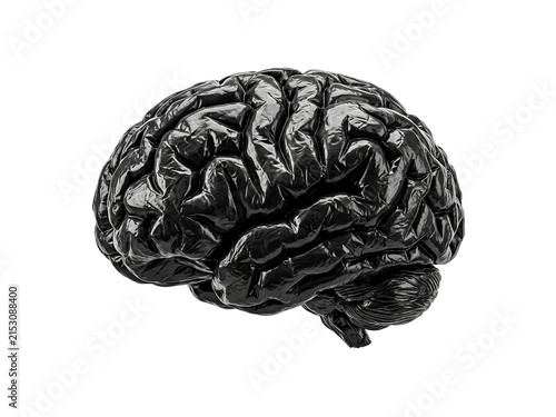 Black Garbage Bag Brain