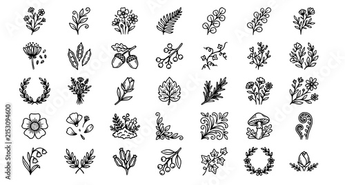 Foto Rustic Botanical Floral and Foliate Thin Line Vector Icon Collection