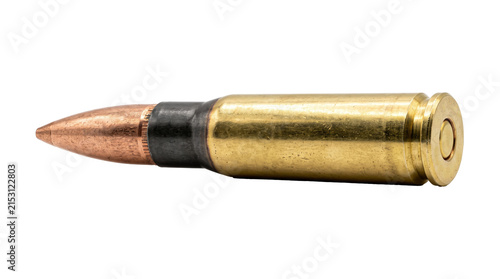 Single Brass Rifle Bullet Cartridge Full Metal Jacket Round.