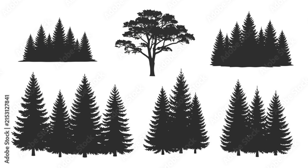 Obraz premium Collection of tree silhouettes on white background with including pine trees deciduous tree arranged rows white environment evergreen ecosystem