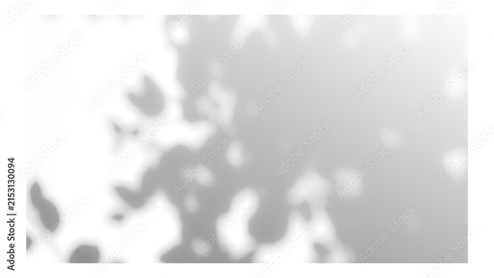 Fototapeta premium Frame with tree and leaf shadows, featuring grain and noise texture on a transparent background for your mockup