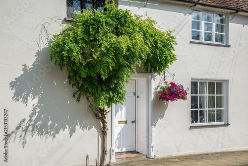 Traditional English house entrance framed by mature wisteria, white facade, windows and colorful hanging flowers.
